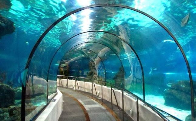 Dubai Underwater Train 